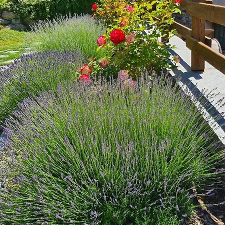 La Maison. Il Nido Dell'aquila